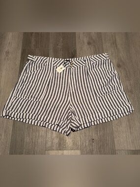 NWT Sanctuary Women’s size 16 shorts